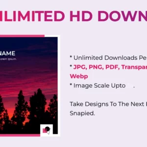 Snapied- Effortless Graphic Design Made Easy, No Designer Needed