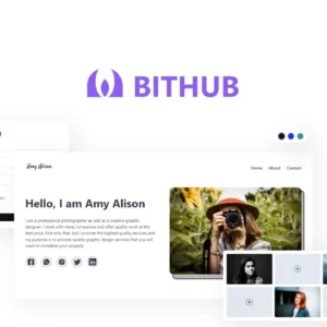BITHUB