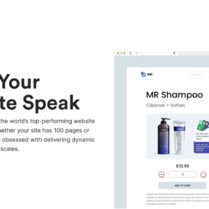 EverXP – Gamification API & Analytics