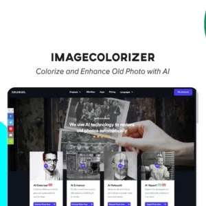 ImageColorizer