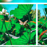 Adobe Photoshop vs Canva: Comparing Graphic Design Tools